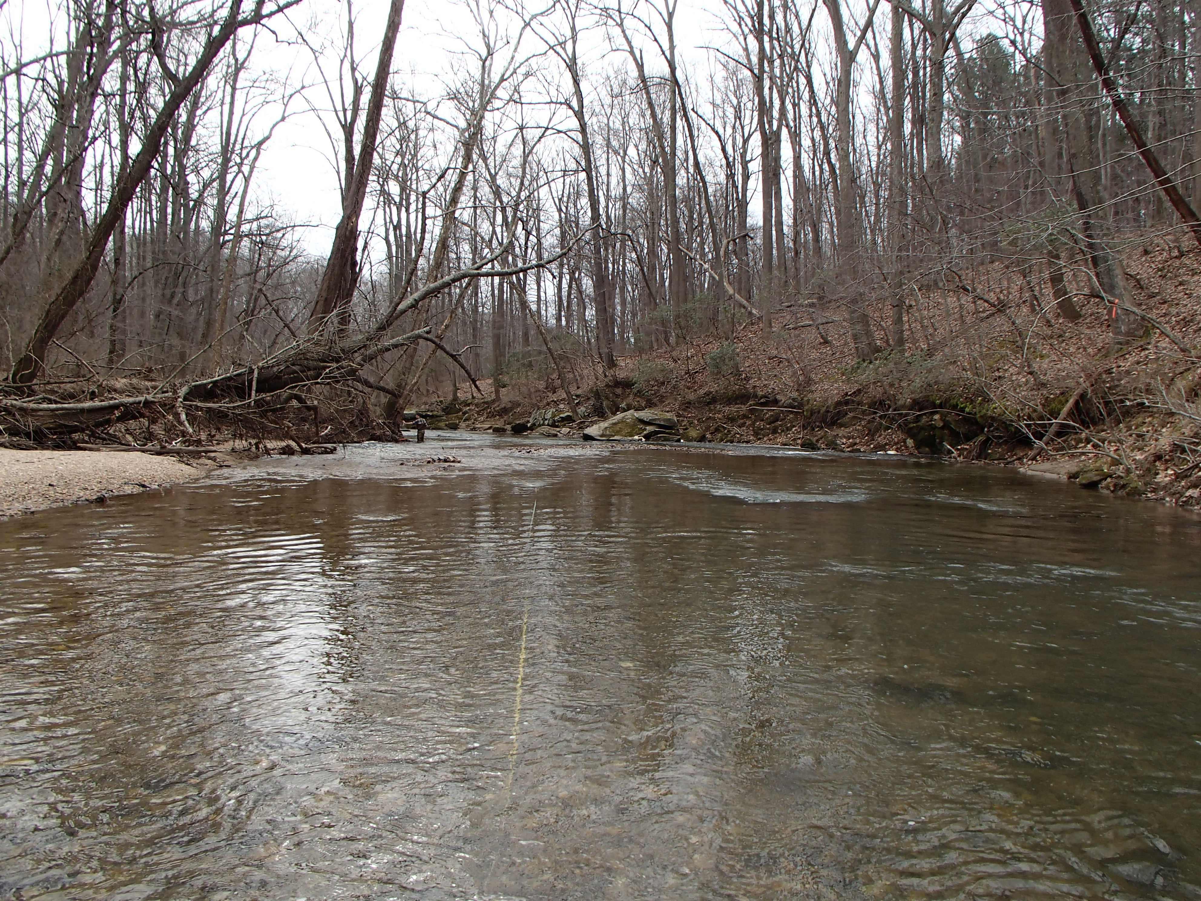 Field photo showing stream conditions at site MPAX-411-R-2016_Midpoint looking downstream